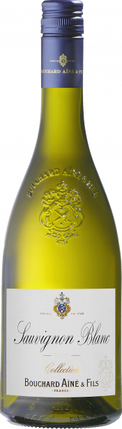 Bouchard Aine et Fils -- Sauvignon Blanc