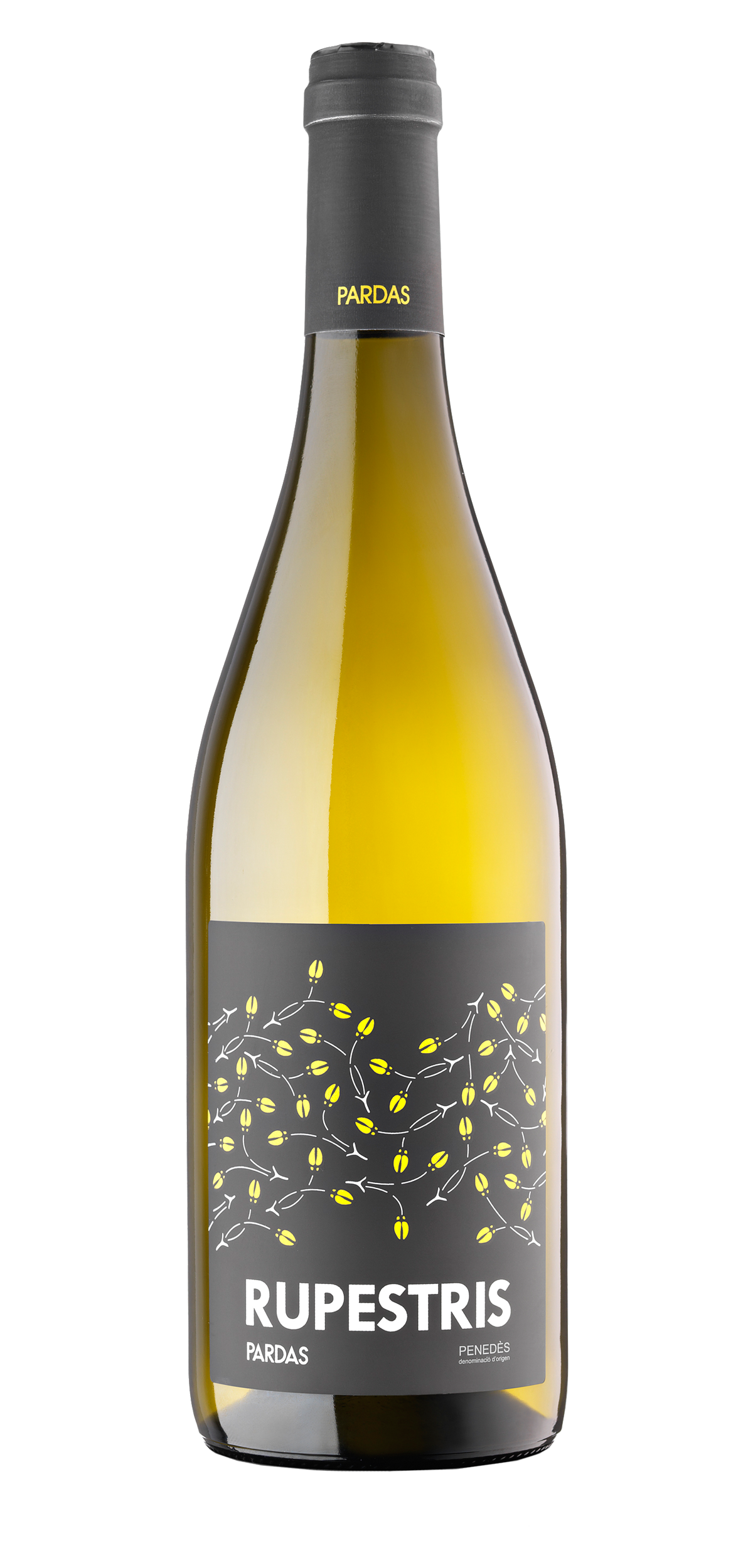 Celler Pardas -- Rupestris